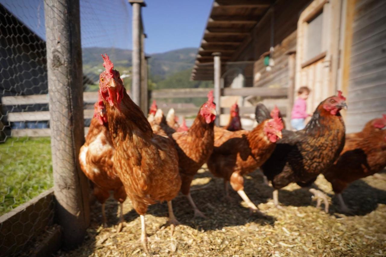 Martlerhof Διαμέρισμα Aschau Im Zillertal Εξωτερικό φωτογραφία