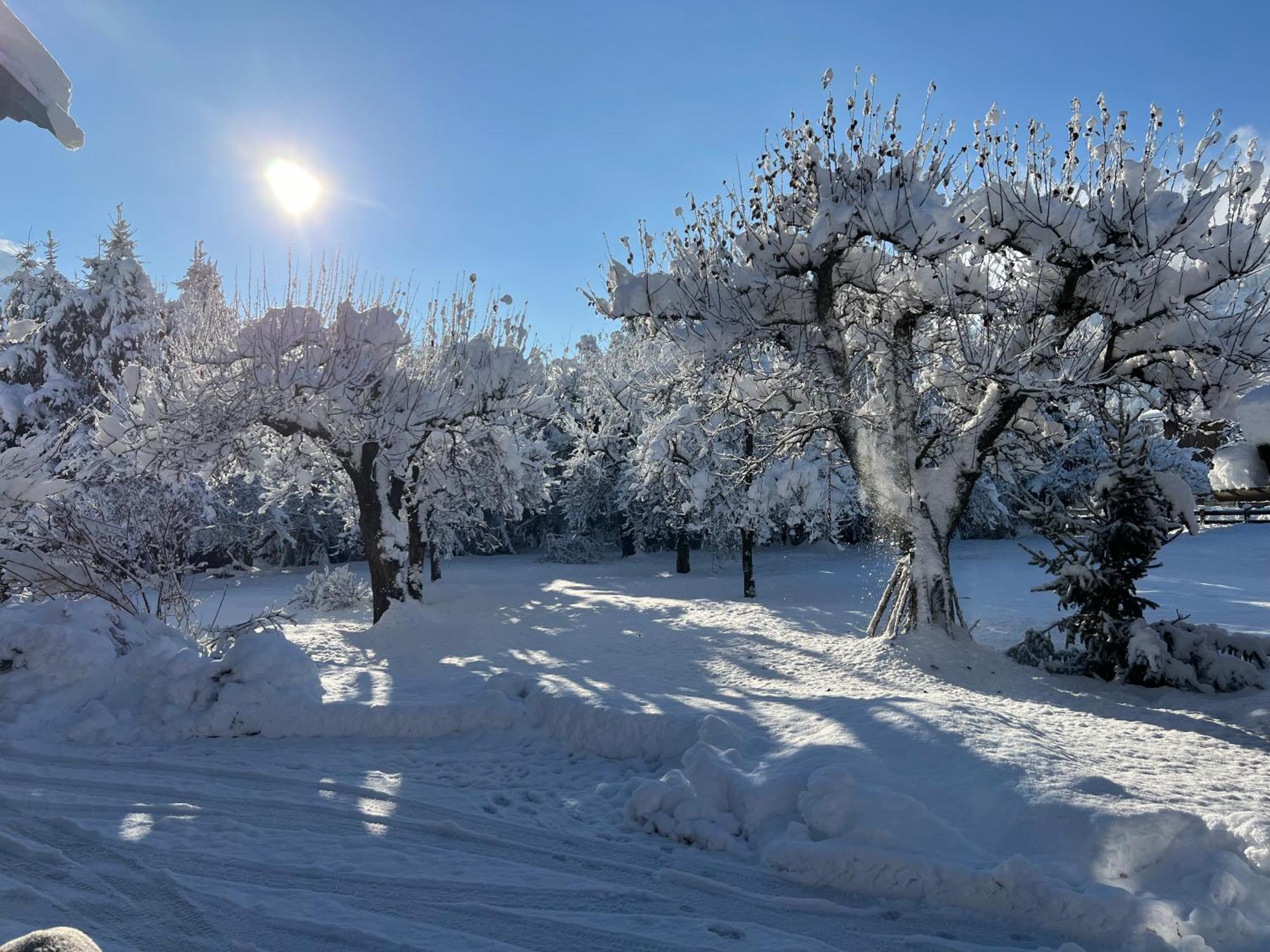 Martlerhof Διαμέρισμα Aschau Im Zillertal Εξωτερικό φωτογραφία