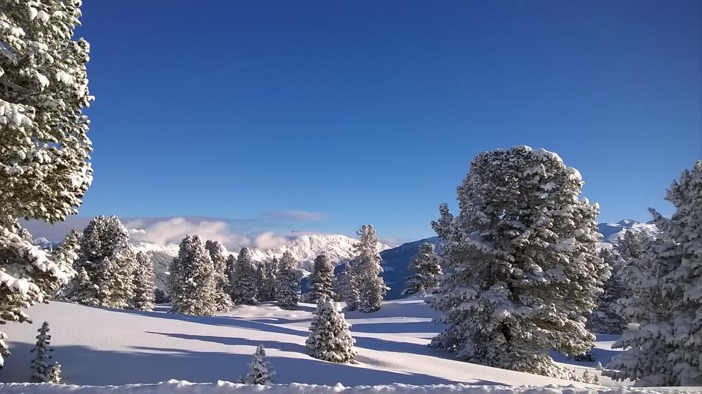 Martlerhof Διαμέρισμα Aschau Im Zillertal Εξωτερικό φωτογραφία