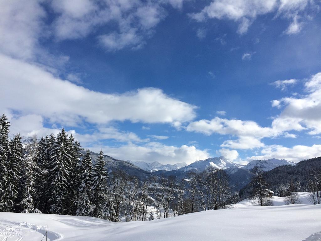 Martlerhof Διαμέρισμα Aschau Im Zillertal Εξωτερικό φωτογραφία