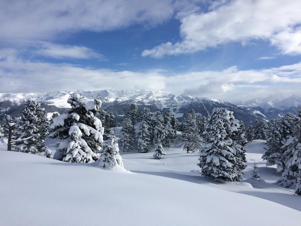 Martlerhof Διαμέρισμα Aschau Im Zillertal Εξωτερικό φωτογραφία
