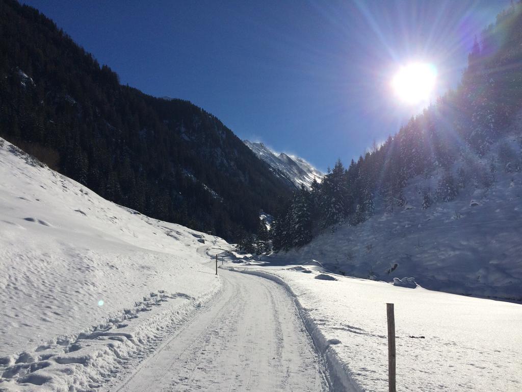 Martlerhof Διαμέρισμα Aschau Im Zillertal Εξωτερικό φωτογραφία