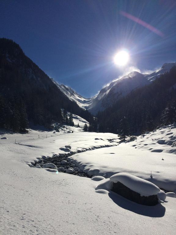 Martlerhof Διαμέρισμα Aschau Im Zillertal Εξωτερικό φωτογραφία